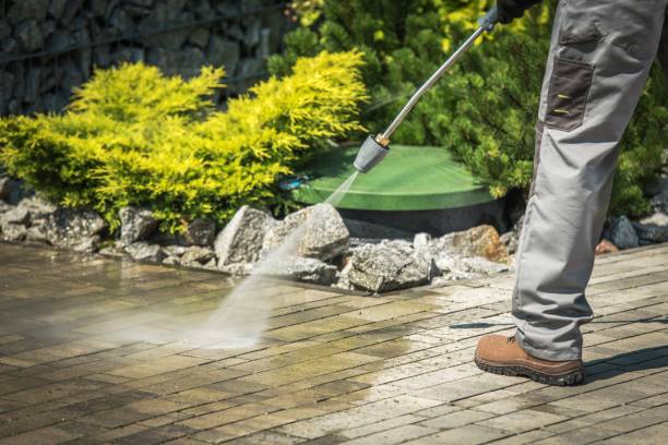 Best Fence Cleaning  in Temple Terrace, FL