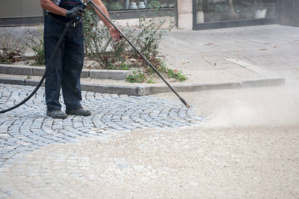 Best Spring Cleaning  in Temple Terrace, FL