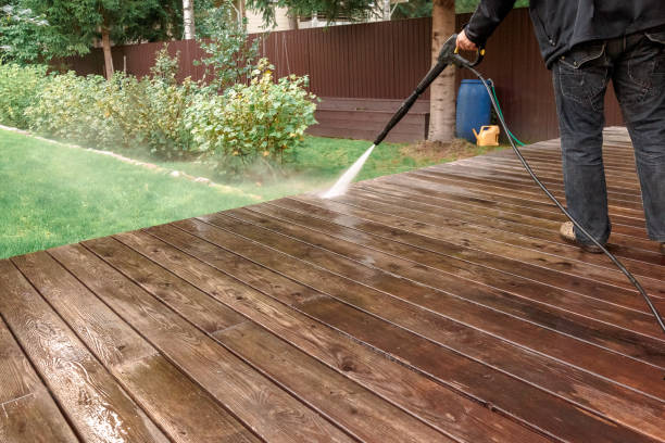 Best Patio and Deck Pressure Washing  in Temple Terrace, FL