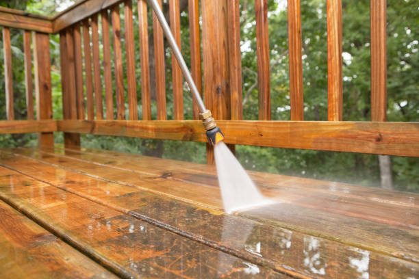 Trusted Temple Terrace, FL Pressure Washing Services Experts